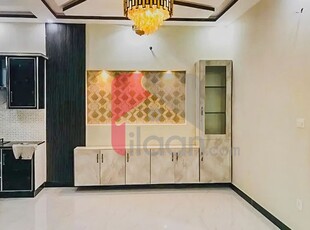 10 Marla House for Rent in Cavalry Ground Extension, Lahore