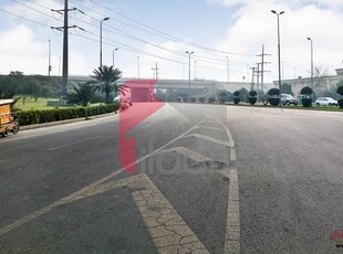 20 Kanal Agricultural Land for Sale in Bedian Road, Lahore