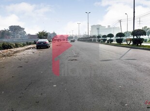 4 Kanal Agricultural Land for Sale in Bedian Road, Lahore