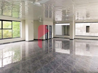 1.1 Kanal Building for Rent in G-8 Markaz, G-8, Islamabad