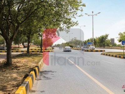 2 Bed Apartment for Rent in Warda Hamna, Residencia 3, Islamabad