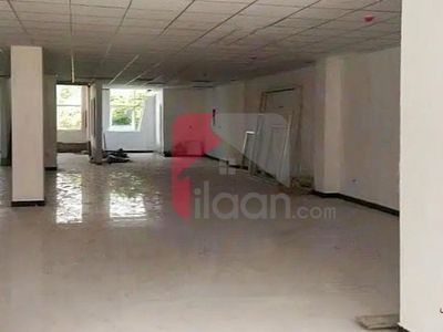 3.1 Kanal Building for Rent in G-8, Islamabad