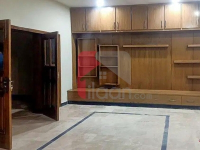 5.6 Marla House for Rent in D-12, Islamabad