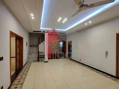 6.7 Marla House for Rent in G-10/4, Islamabad
